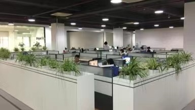 CHINA Shandong Duohe Import And Export Co., Ltd. Unternehmensprofil